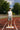 187 cm - Size M